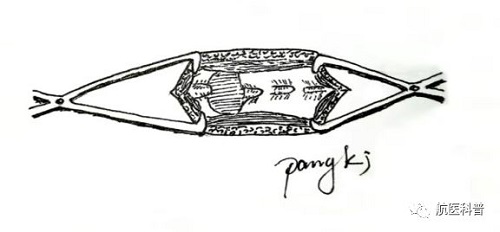 微信(xin)圖片_20191122125229.jpg 微信(xin)圖片_20191122125229.jpg