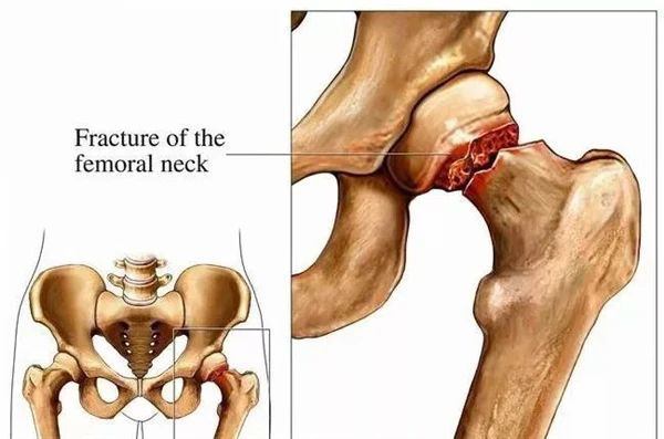 微信(xin)圖片_20241222173239.jpg 微信(xin)圖片_20241222173239.jpg